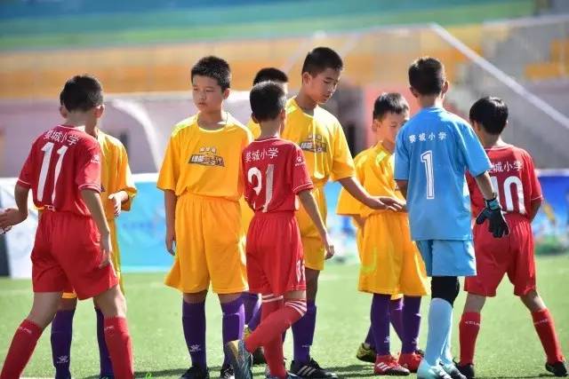 宁波男篮队史首次挺进CBA季后赛 续写篮球热土故事宁波男篮队史首次挺进CBA季后赛 续写篮球热土故事